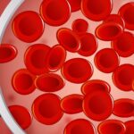 Kite, società del gruppo Gilead, presenterà i risultati della ricerca sulle terapie cellulari al 46° meeting annuale (virtuale) della European Society for Blood and Marrow Transplantation (EBMT)