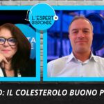 Colesterolo buono: protegge davvero dal rischio di infarto? La risposta dell’esperto