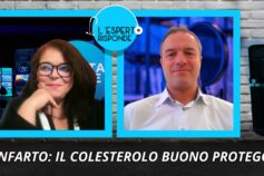 Colesterolo buono: protegge davvero dal rischio di infarto? La risposta dell’esperto