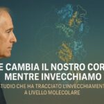 Come cambia il nostro corpo mentre invecchiamo: lo studio che ha tracciato l’invecchiamento a livello molecolare
