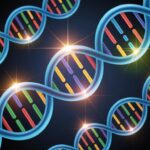 Il DNA che ci protegge