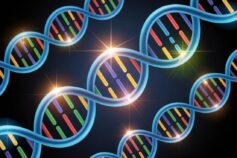 Il DNA che ci protegge: scoperte le varianti genetiche che aumentano la resistenza alle malattie