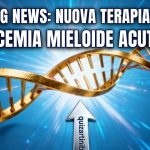 Leucemia mieloide acuta FLT3: nuovi progressi terapeutici con l’arrivo di quizartinib 10 Leucemia mieloide acuta FLT3: nuovi progressi terapeutici con l’arrivo di quizartinib