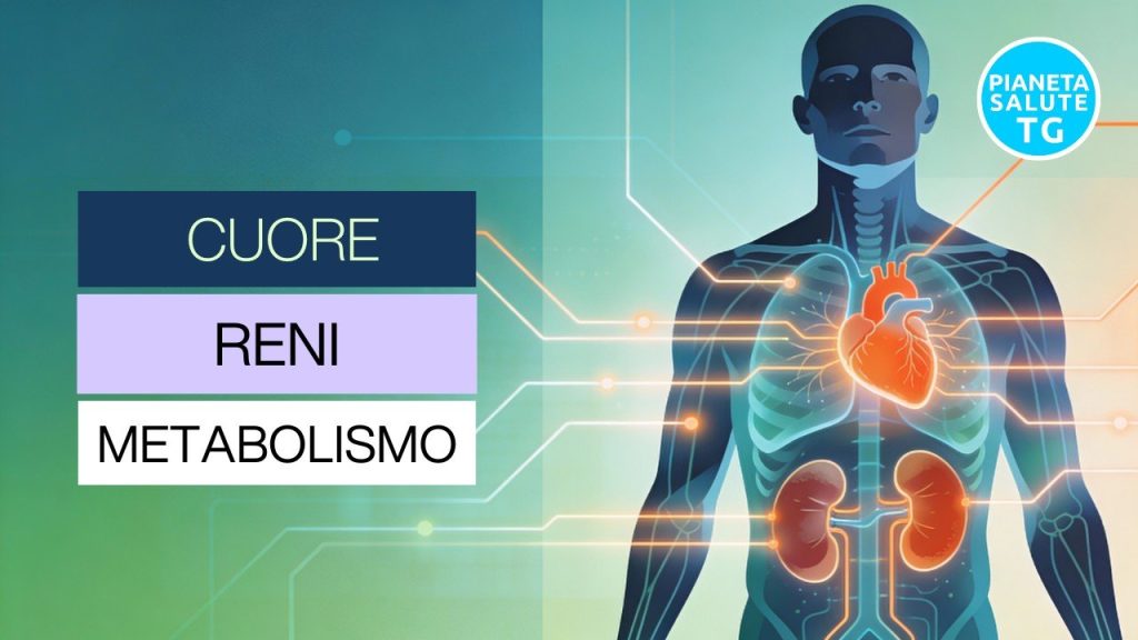 Prevenzione cardiorenale metabolica: la connessione tra cuore, reni e metabolismo che può salvare la salute