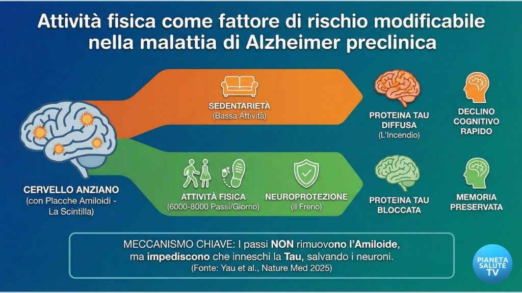 Prevenzione Alzheimer: Camminare agisce come un "freno molecolare" sulla proteina Tau
