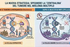 Mieloma Multiplo: scoperta la “centralina” che rende il tumore invincibile. Una svolta italiana