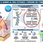 Sole, creme e disinformazione: la scienza non è un’opinione da social 10 Sole, creme e disinformazione: la scienza non è un’opinione da social