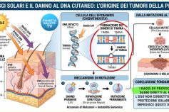 Sole, creme e disinformazione: la scienza non è un’opinione da social